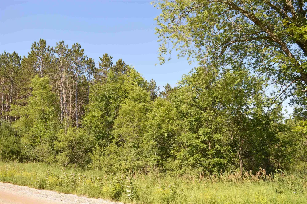 NE Holly Road Rapid River Township, MI 49646