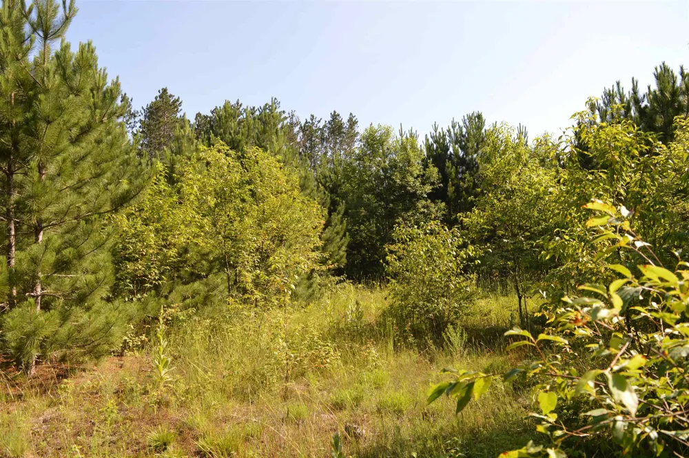 NE Holly Road Rapid River Township, MI 49646