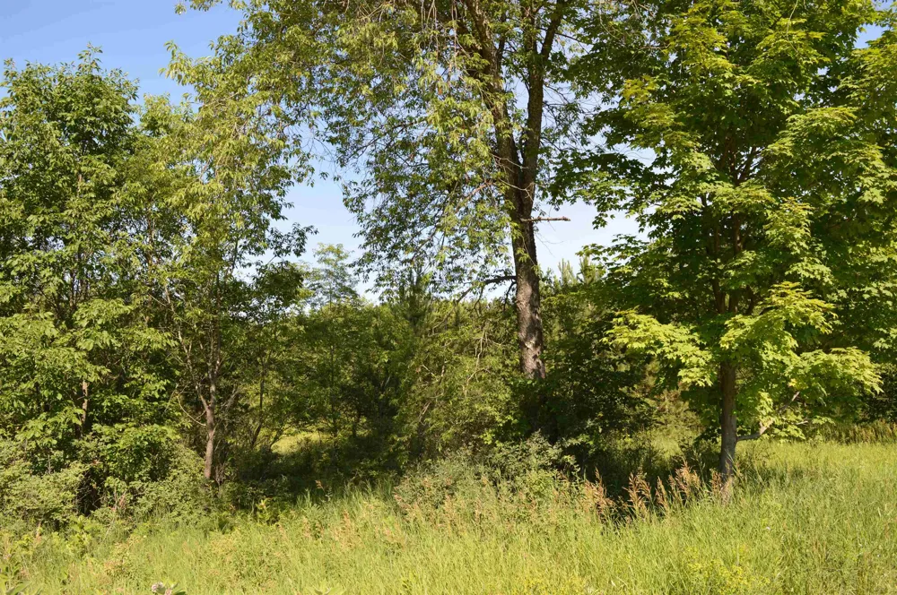 NE Holly Road Rapid River Township, MI 49646