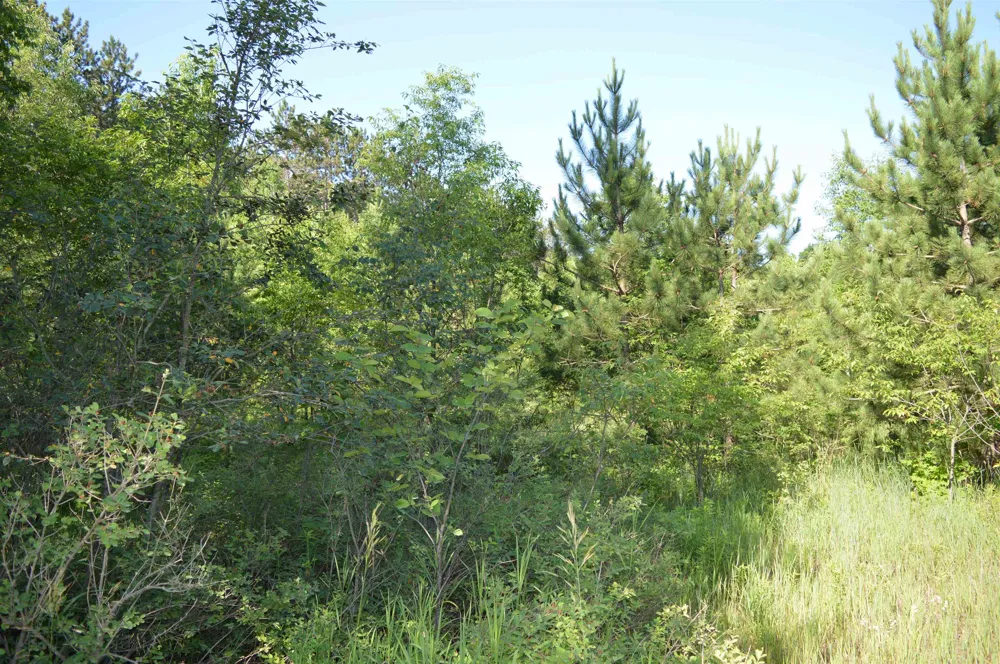 NE Holly Road Rapid River Township, MI 49646