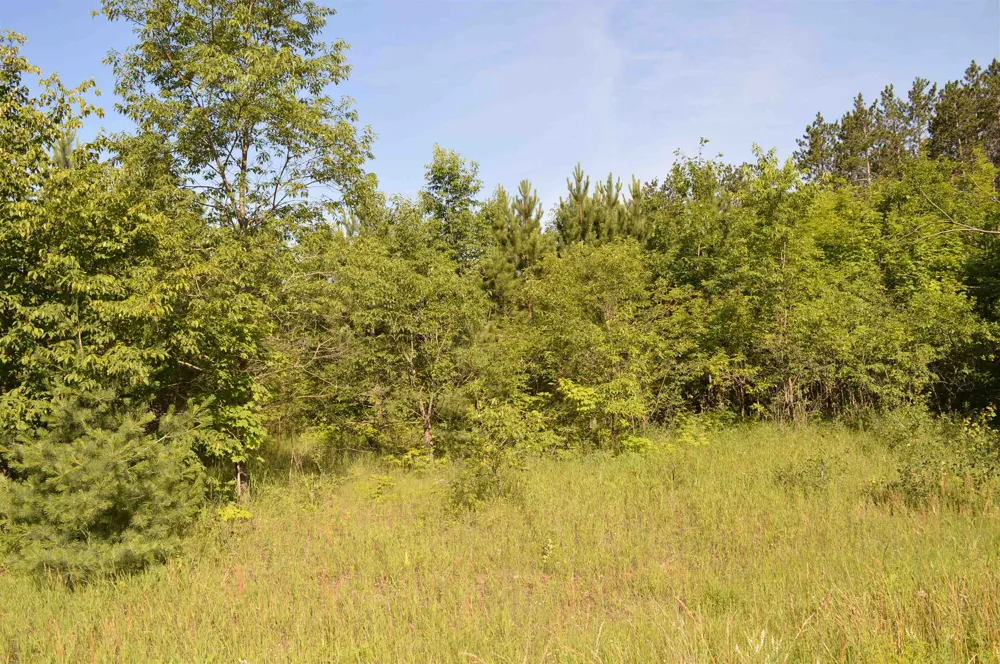 NE Holly Road Rapid River Township, MI 49646