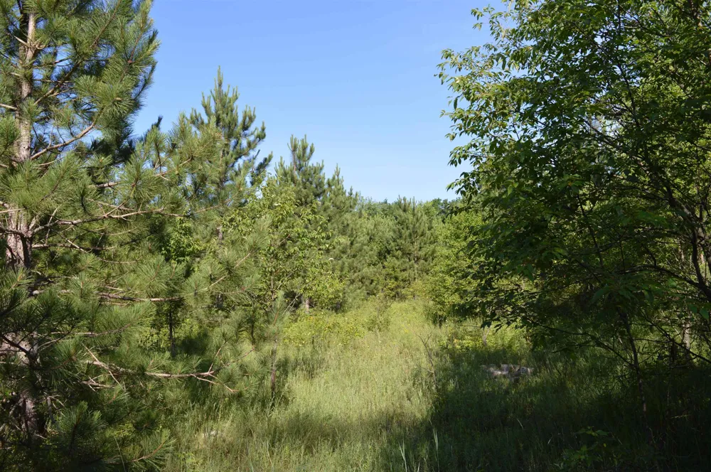NE Holly Road Rapid River Township, MI 49646