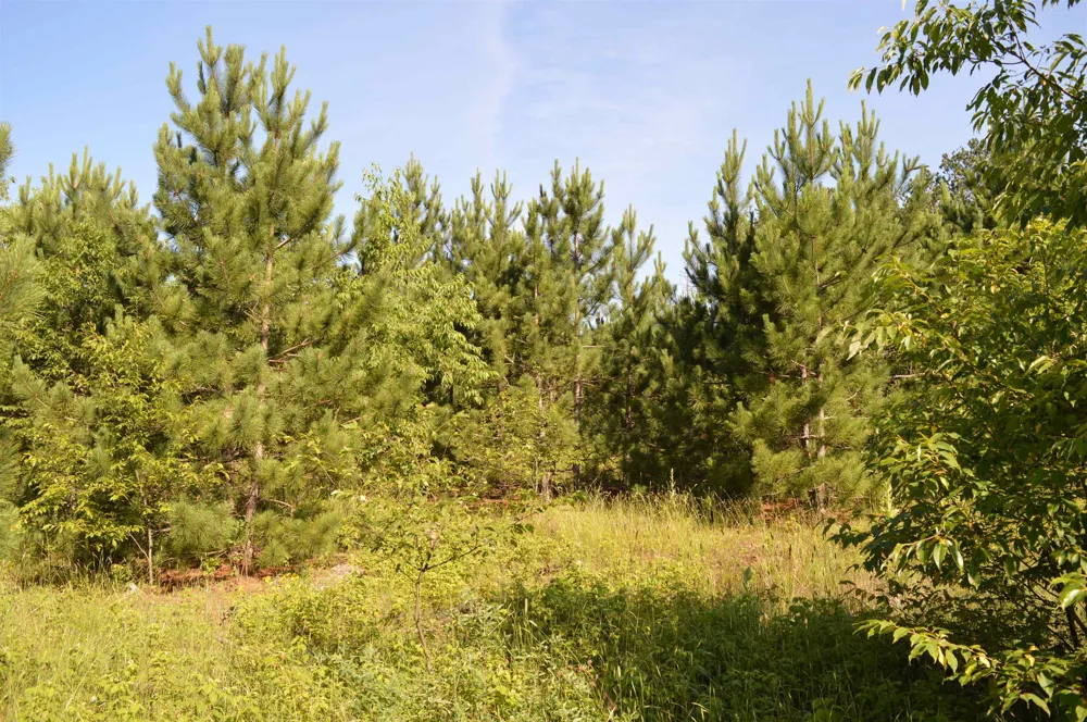 NE Holly Road Rapid River Township, MI 49646