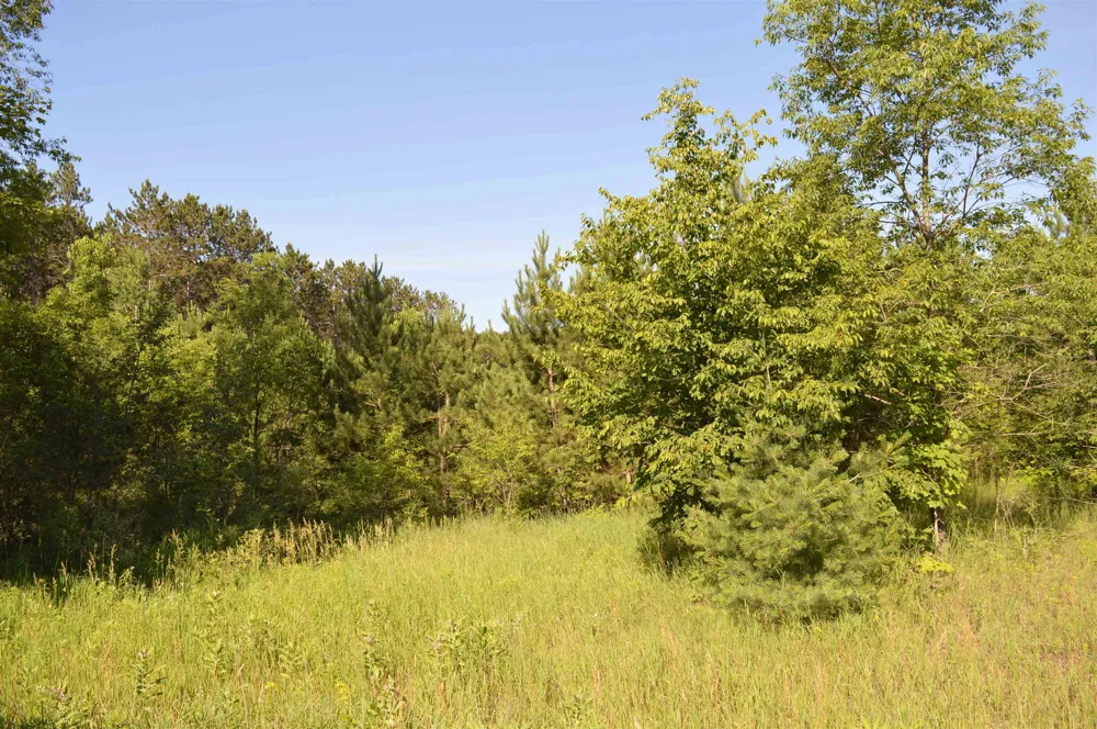 NE Holly Road Rapid River Township, MI 49646