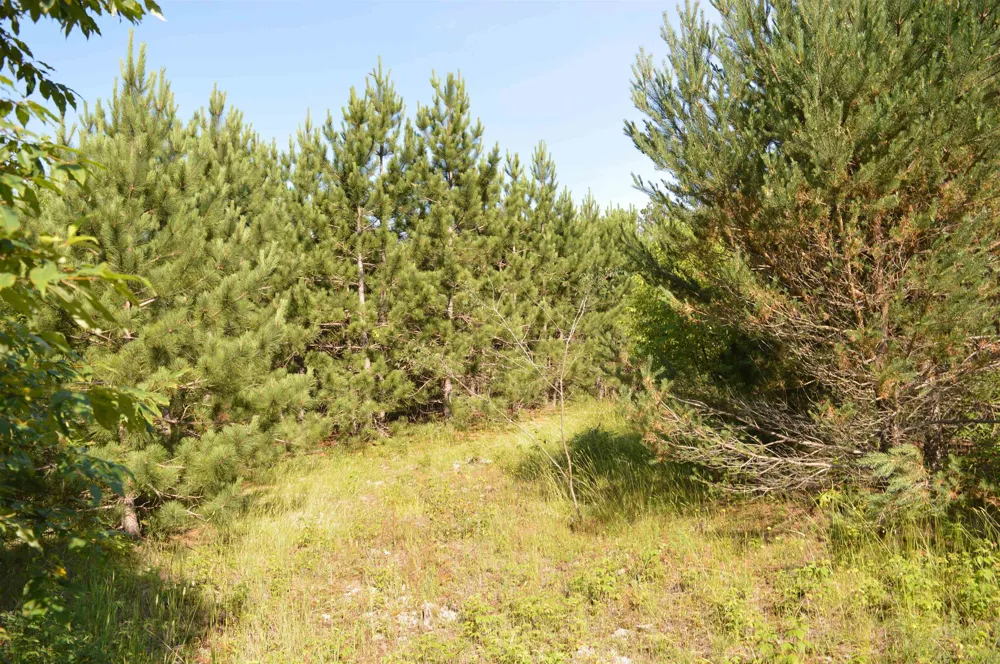 NE Holly Road Rapid River Township, MI 49646
