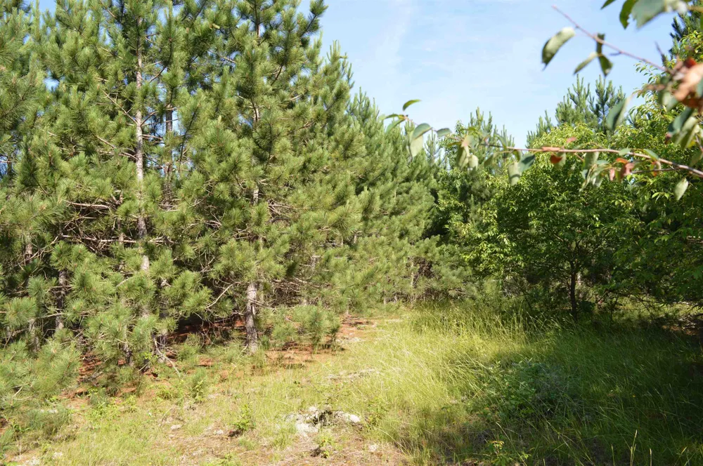 NE Holly Road Rapid River Township, MI 49646
