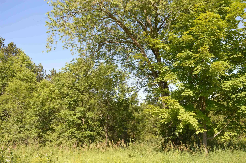 NE Holly Road Rapid River Township, MI 49646