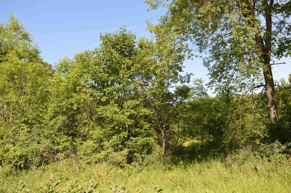 NE Holly Road Rapid River Township, MI 49646