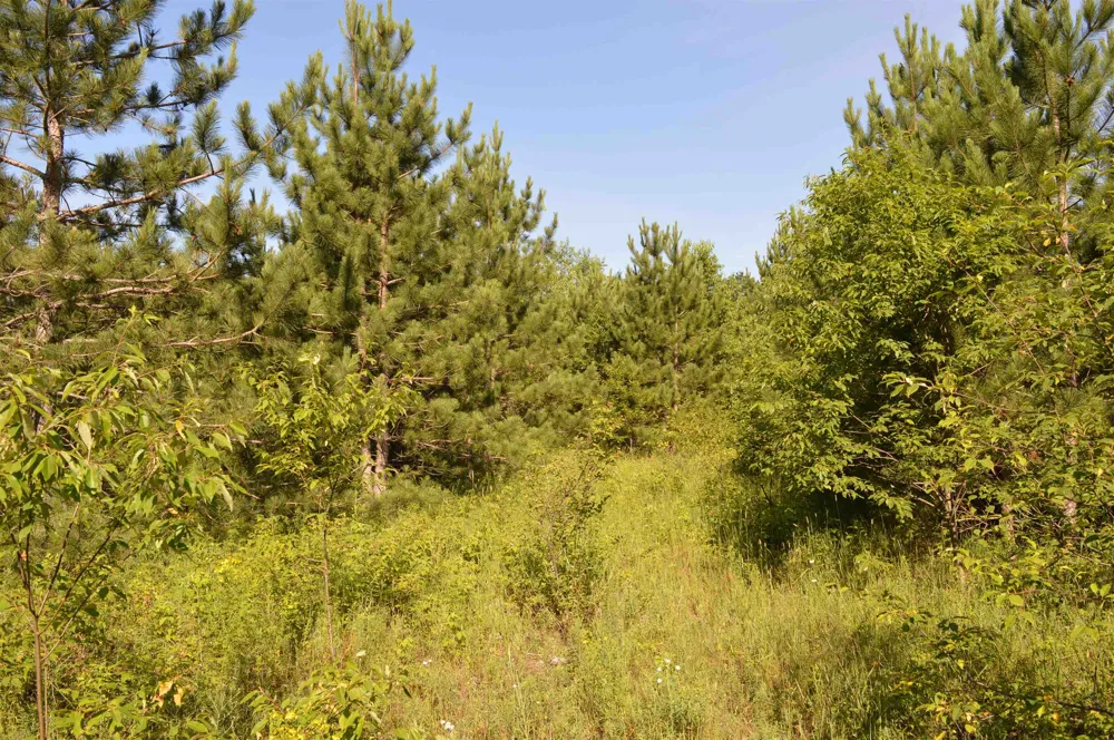 NE Holly Road Rapid River Township, MI 49646