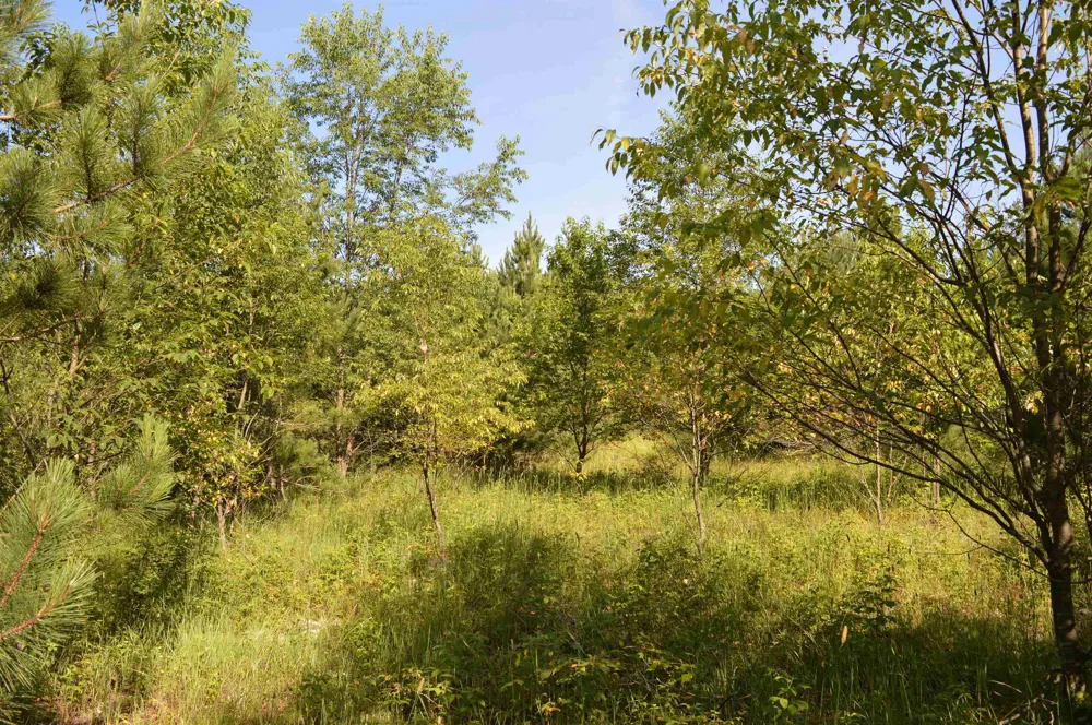 NE Holly Road Rapid River Township, MI 49646