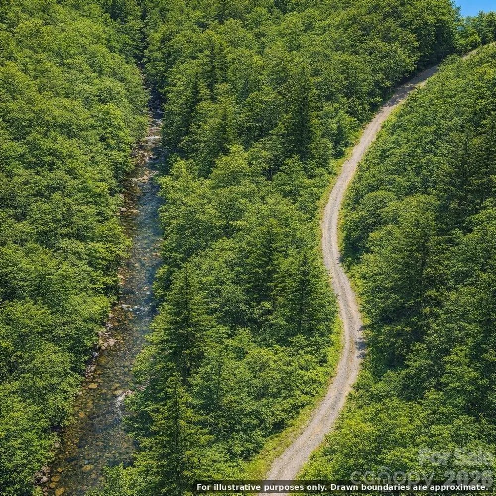 0000 Rainbow Trout Drive Burnsville, NC 28714