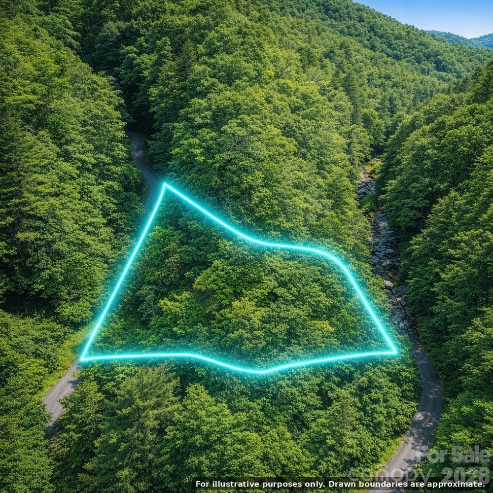 0000 Rainbow Trout Drive Burnsville, NC 28714