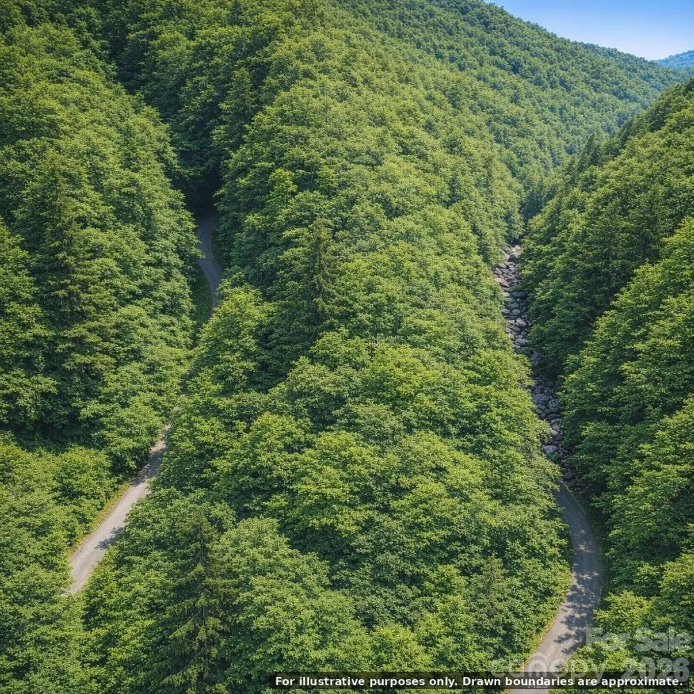 0000 Rainbow Trout Drive Burnsville, NC 28714