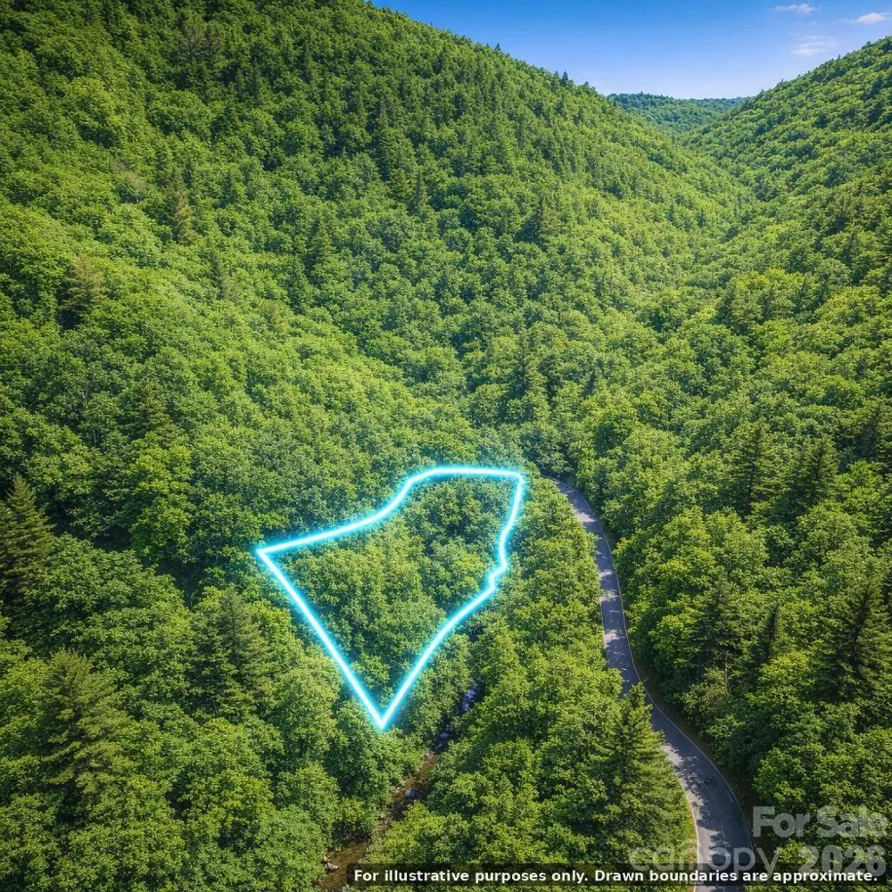 0000 Rainbow Trout Drive Burnsville, NC 28714