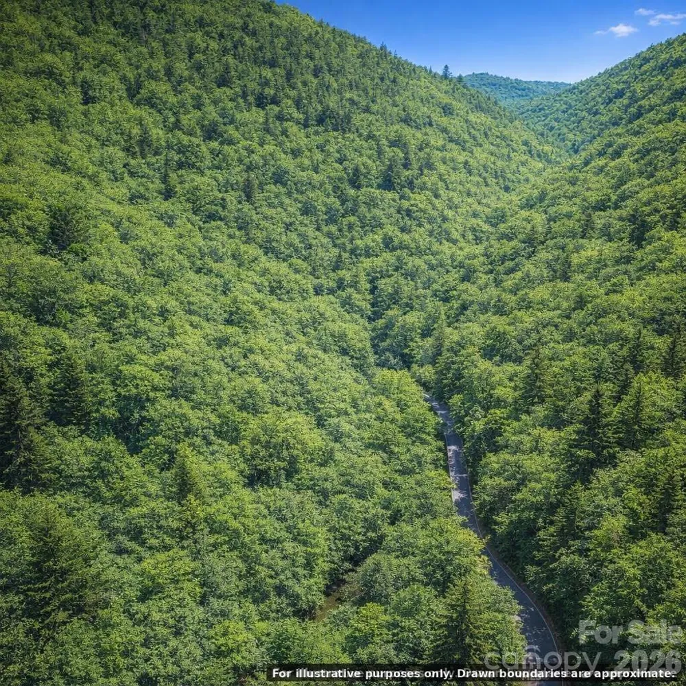 0000 Rainbow Trout Drive Burnsville, NC 28714
