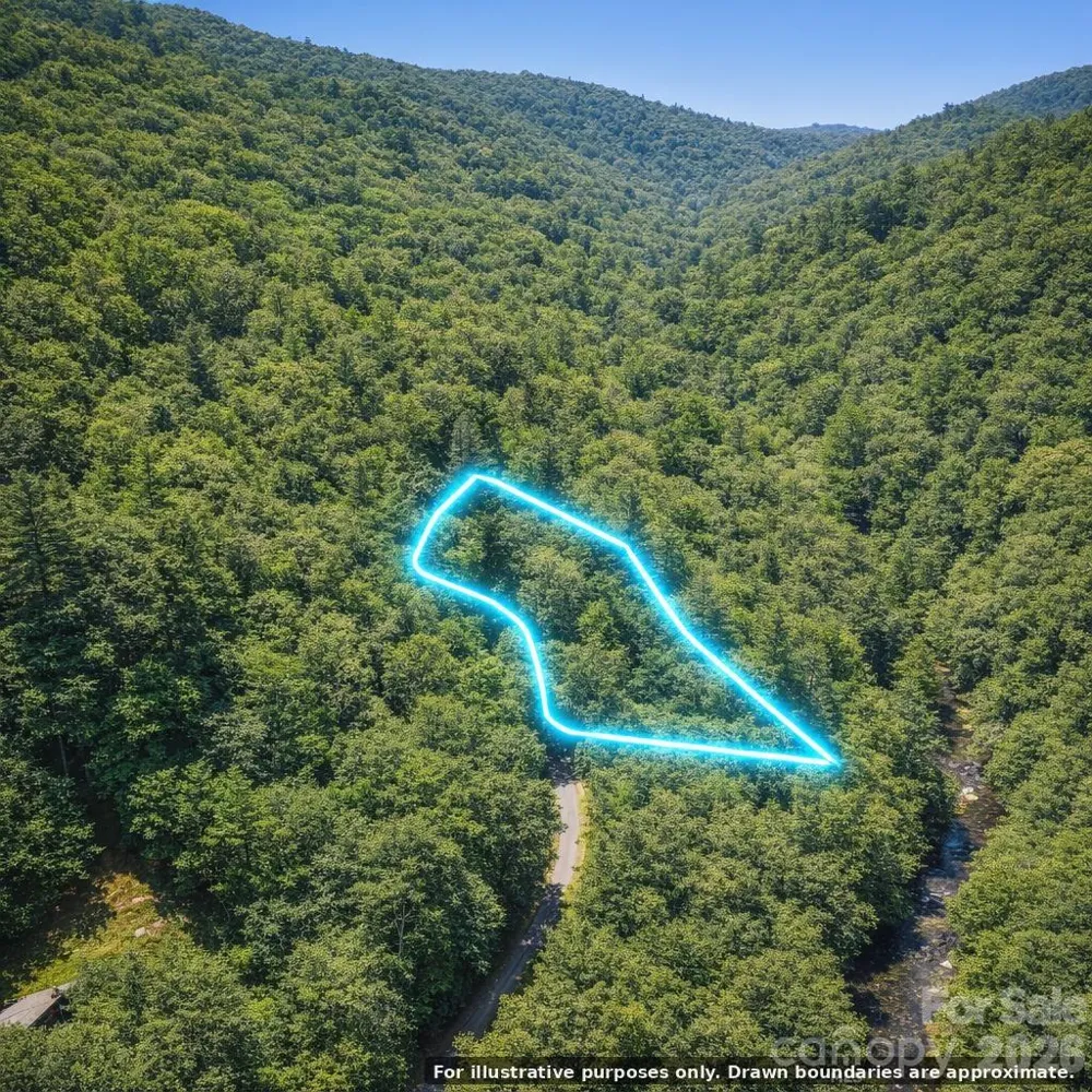 0000 Rainbow Trout Drive Burnsville, NC 28714