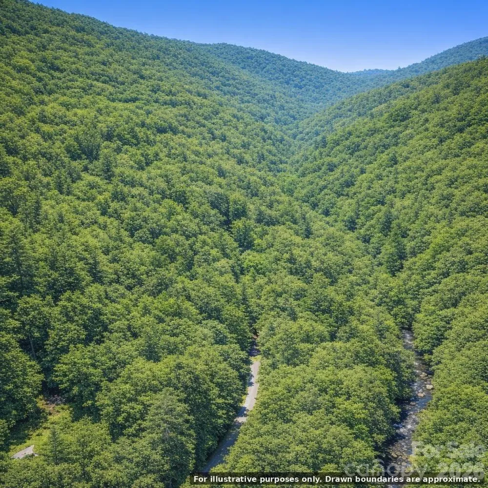 0000 Rainbow Trout Drive Burnsville, NC 28714