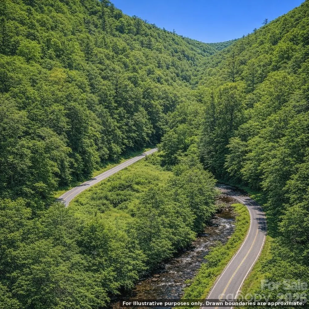 0000 Rainbow Trout Drive Burnsville, NC 28714