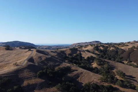 5 Black Mountain (Lot 247) Trail
