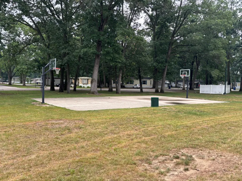 5013 Lumberman Lane Egelston Township, MI 49442