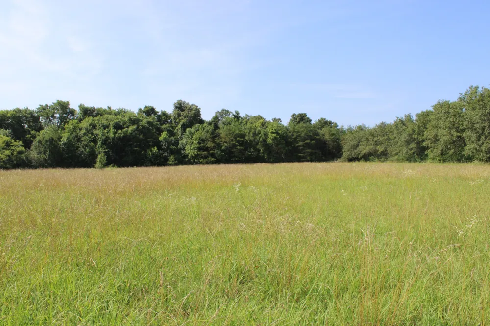 0 Myers Cove Rd McMinnville, TN 37110
