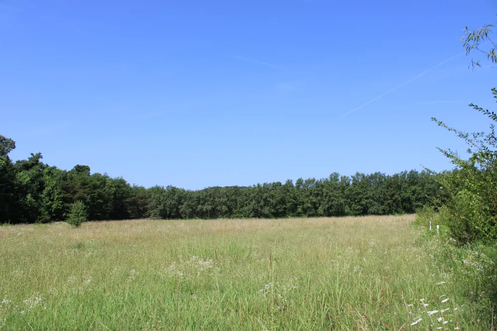 0 Myers Cove Rd McMinnville, TN 37110