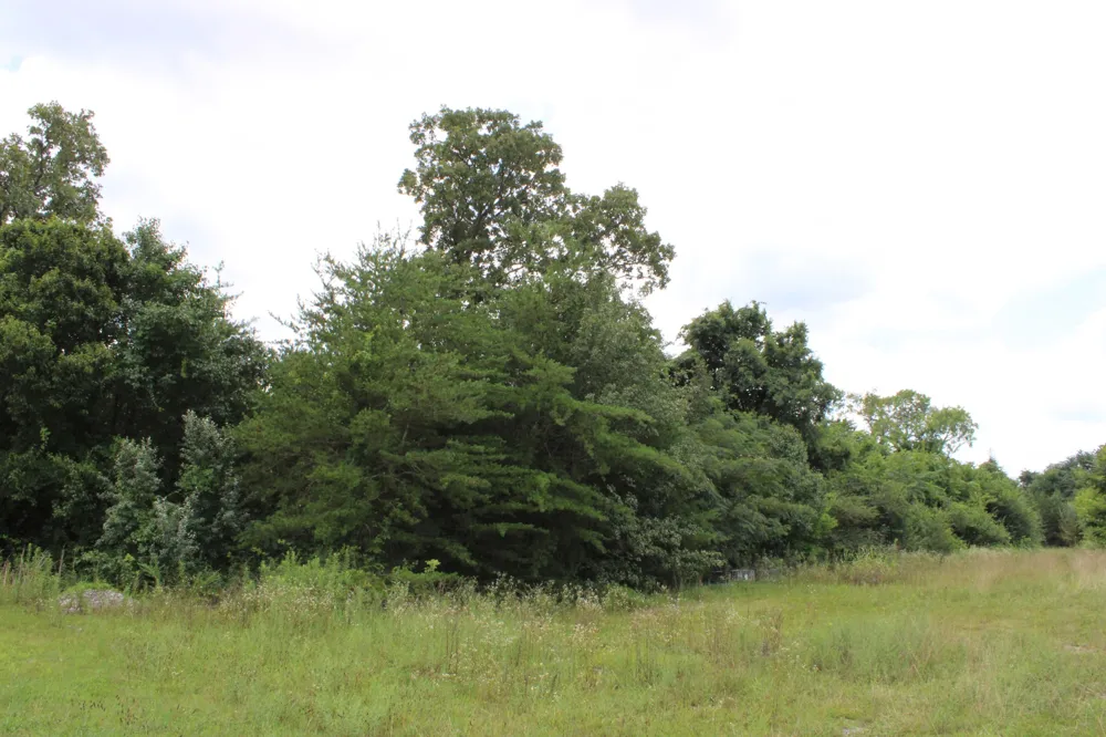 0 Myers Cove Rd McMinnville, TN 37110