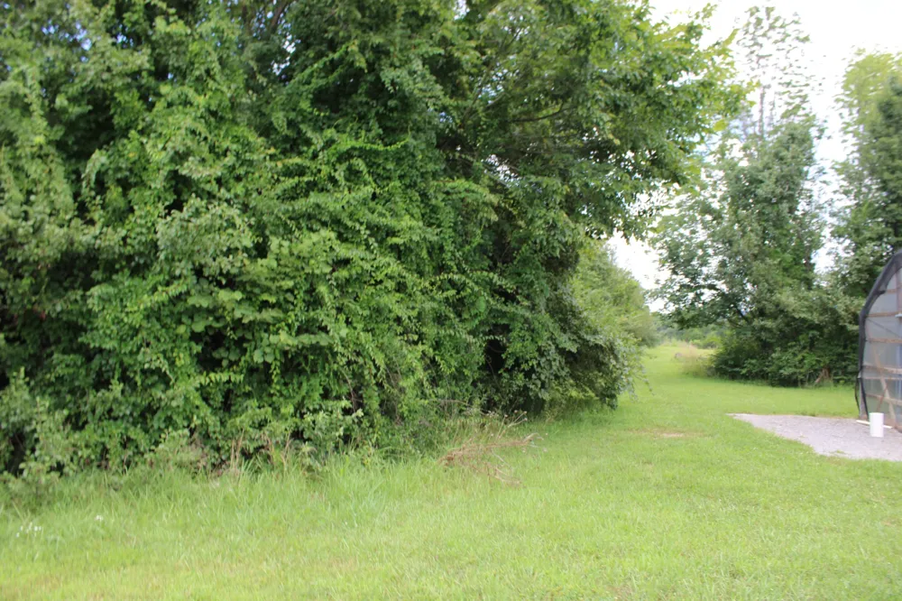 0 Myers Cove Rd McMinnville, TN 37110