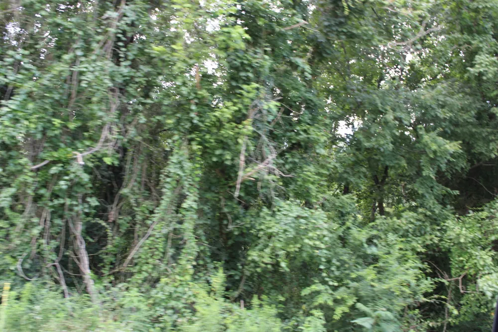 0 Myers Cove Rd McMinnville, TN 37110