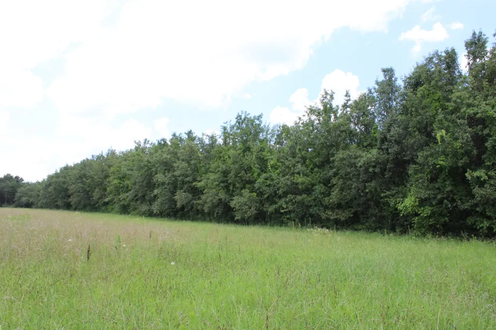 0 Myers Cove Rd McMinnville, TN 37110