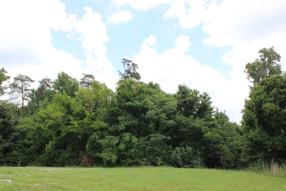 0 Myers Cove Rd McMinnville, TN 37110
