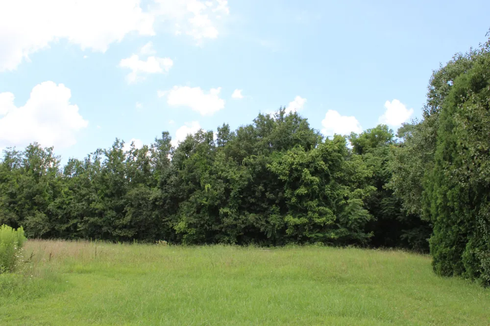 0 Myers Cove Rd McMinnville, TN 37110