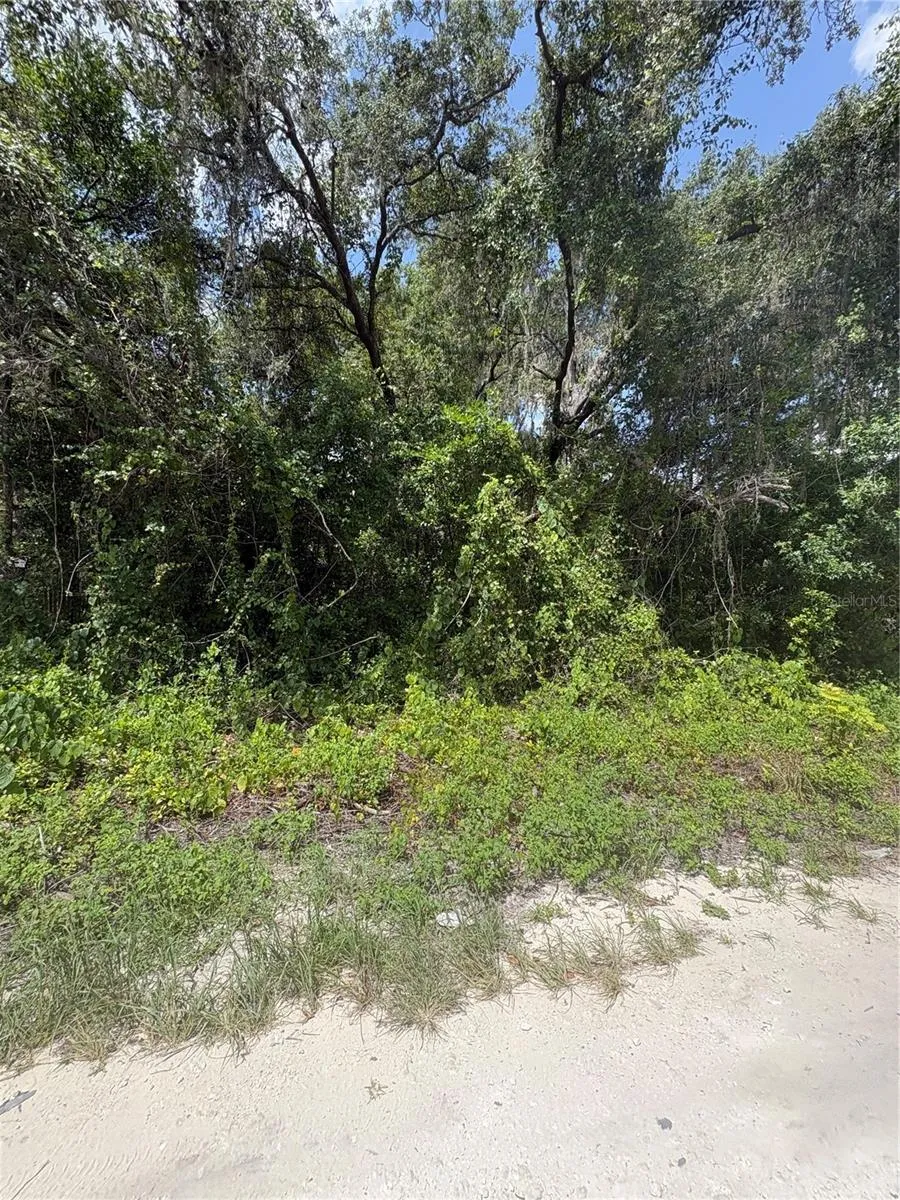 SPARE DRIVE New Port Richey, FL 34654