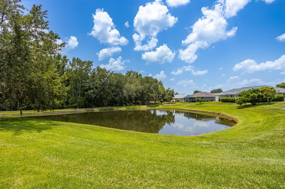 29312 MARKER LOOP San Antonio, FL 33576