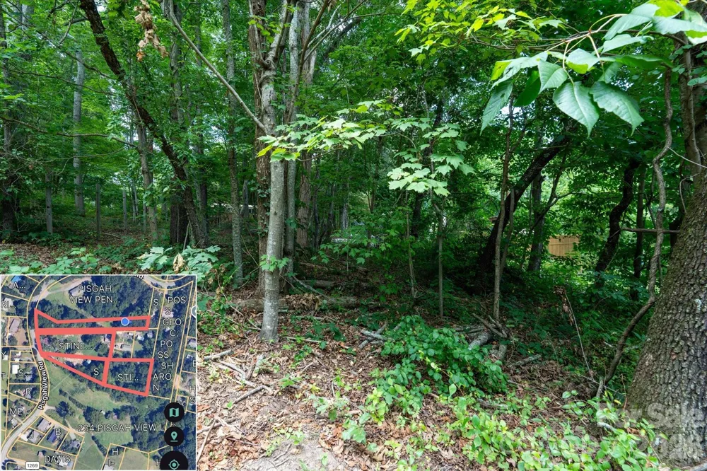 230 Pisgah View Road Asheville, NC 28806