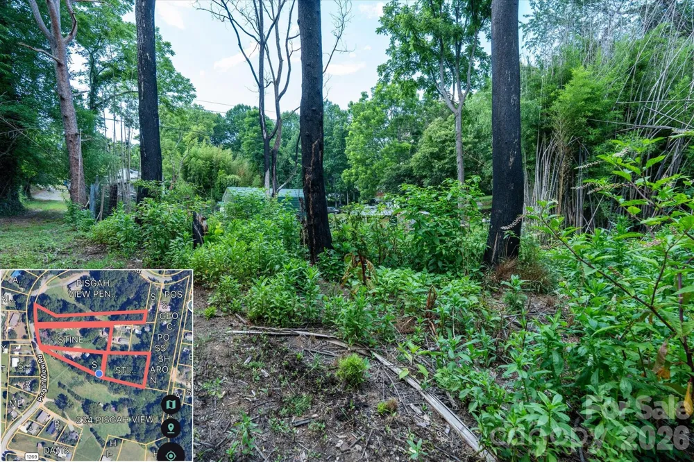 230 Pisgah View Road Asheville, NC 28806