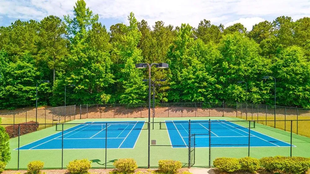 170 Sapelo Drive Senoia, GA 30276