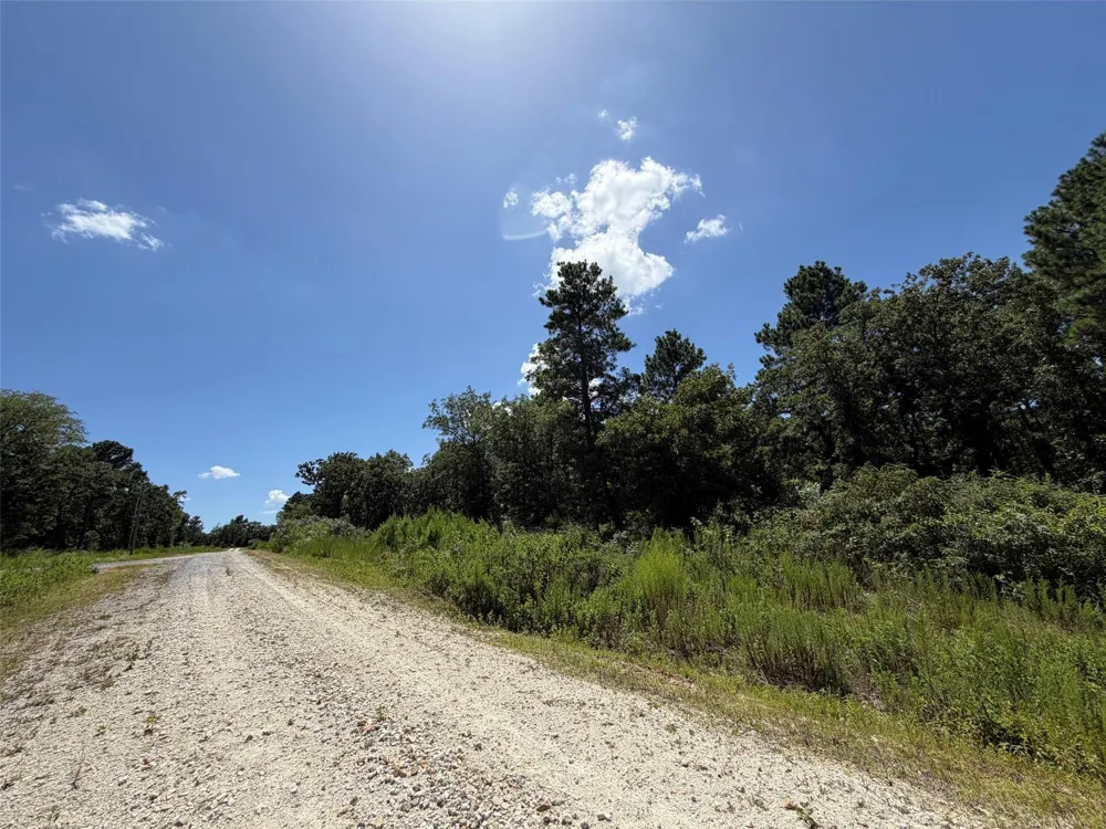 Pr 1284 Centerville, TX 75833
