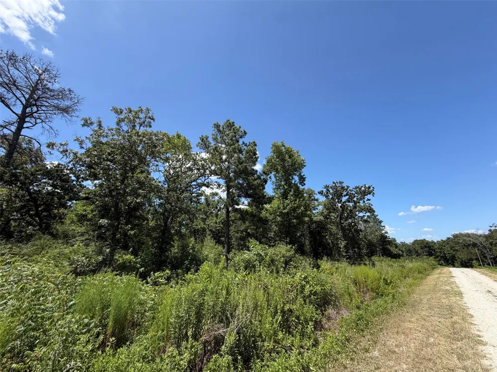 Pr 1284 Centerville, TX 75833