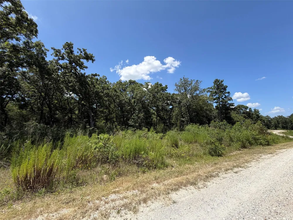 Pr 1284 Centerville, TX 75833