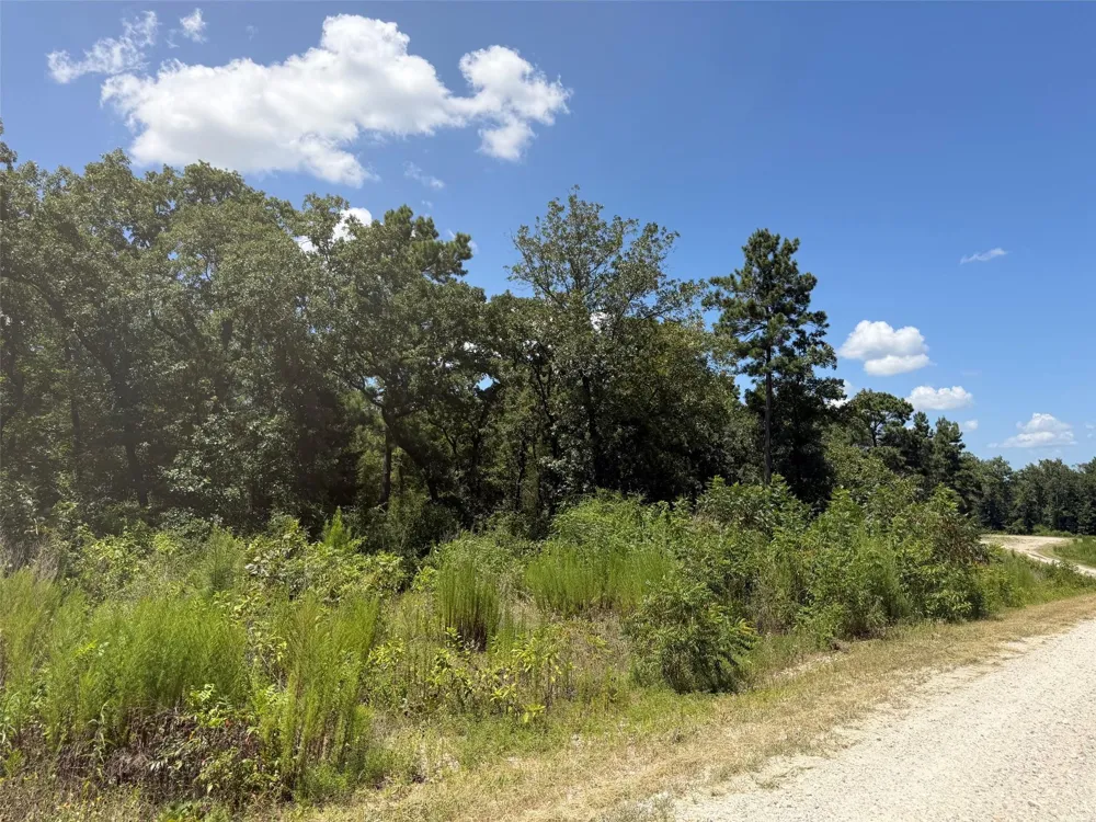 Pr 1284 Centerville, TX 75833