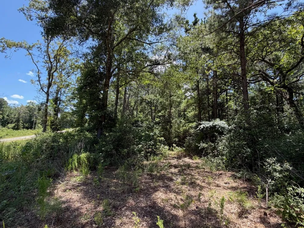 Pr 1284 Centerville, TX 75833