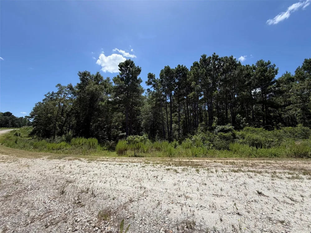 Pr 1284 Centerville, TX 75833