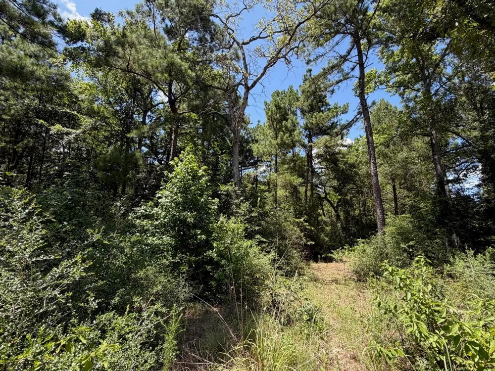 Pr 1284 Centerville, TX 75833