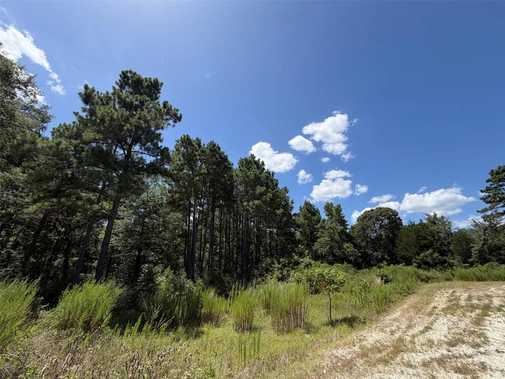 Pr 1284 Centerville, TX 75833