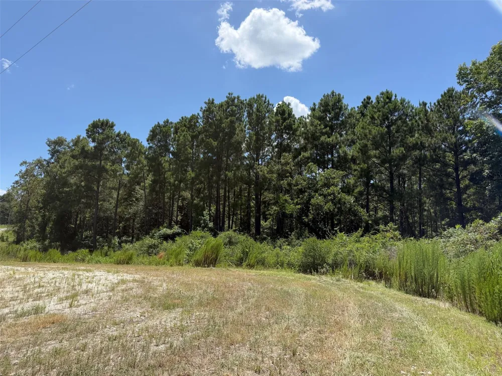 Pr 1284 Centerville, TX 75833