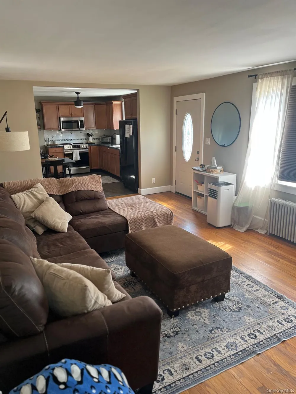 1067 Codwise Street Kingston, NY 12401