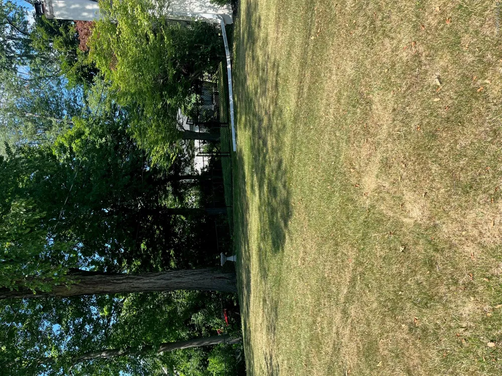 1067 Codwise Street Kingston, NY 12401