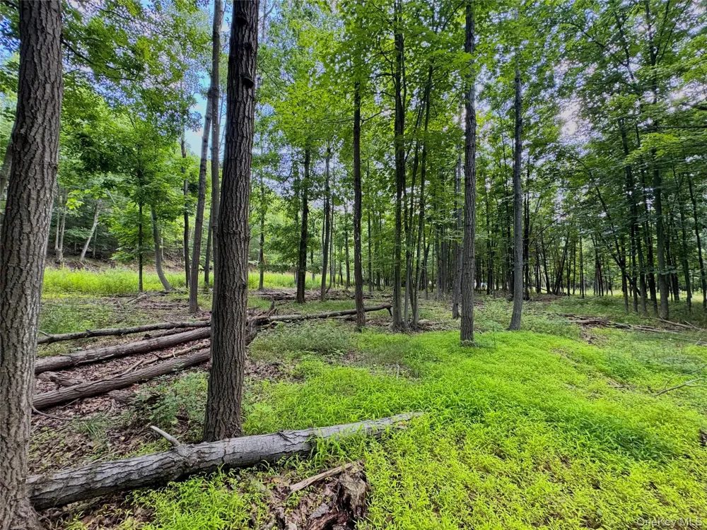 334 Pollys Rock Road Cairo, NY 12473