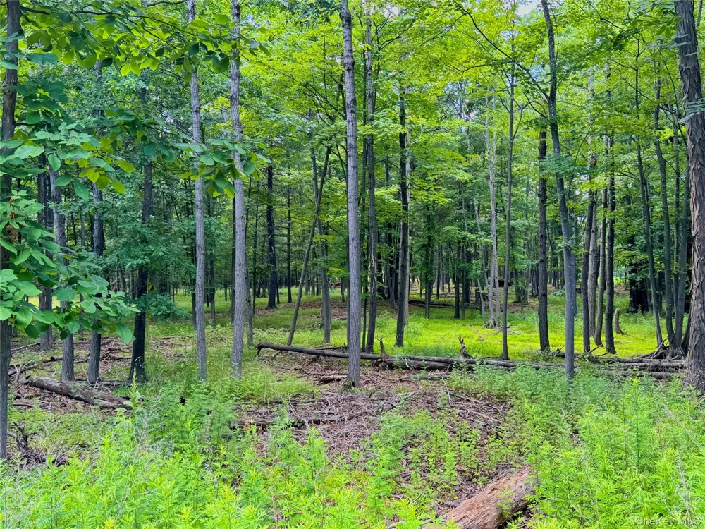 334 Pollys Rock Road Cairo, NY 12473